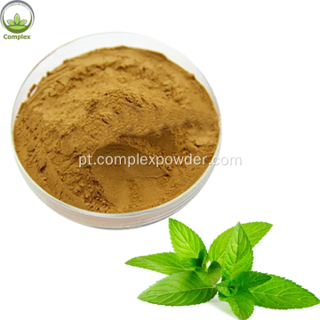 Hight Quality Bulk Peppermint Extract Powder